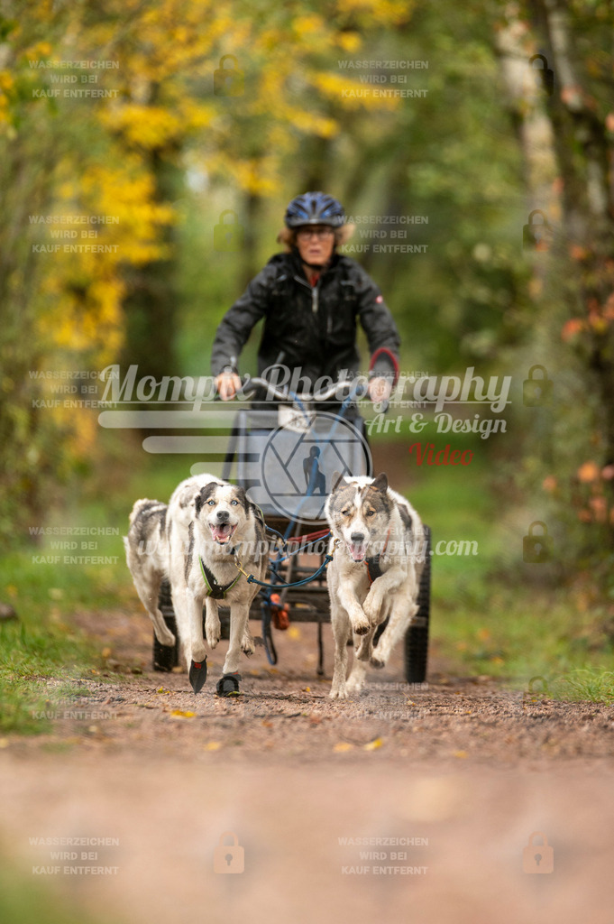 TSB_2023_E4_Kart-10 | mompixphotography