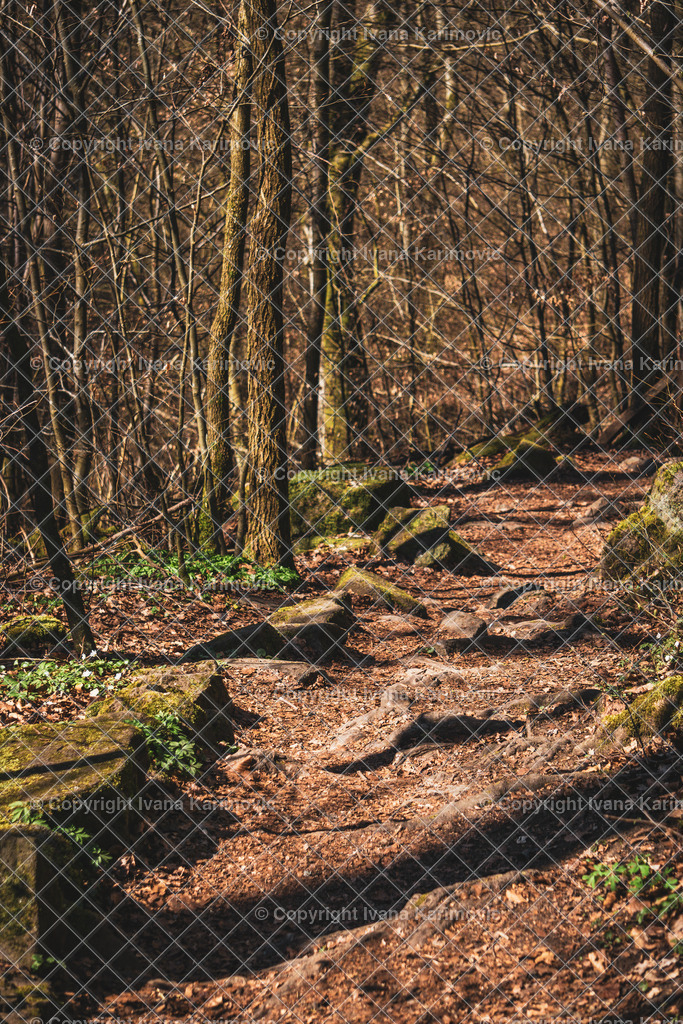 DSC03055 | ikphotography - Realisiert mit Pictrs.com