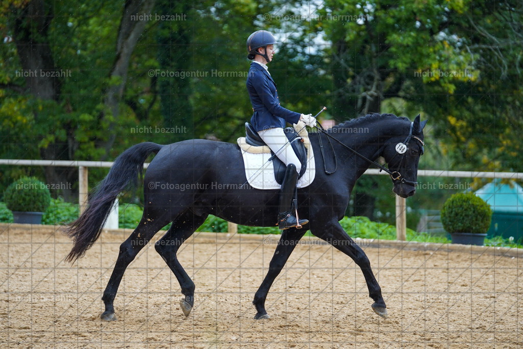 20221008-FAH01985 | Diessen am Ammersee, 2022, Dressur- und Springturnier, Reitsportbilder, Turnierfotografen Bayern, Pferdefotografen, Fotoagentur Herrmann, Turnierbilder