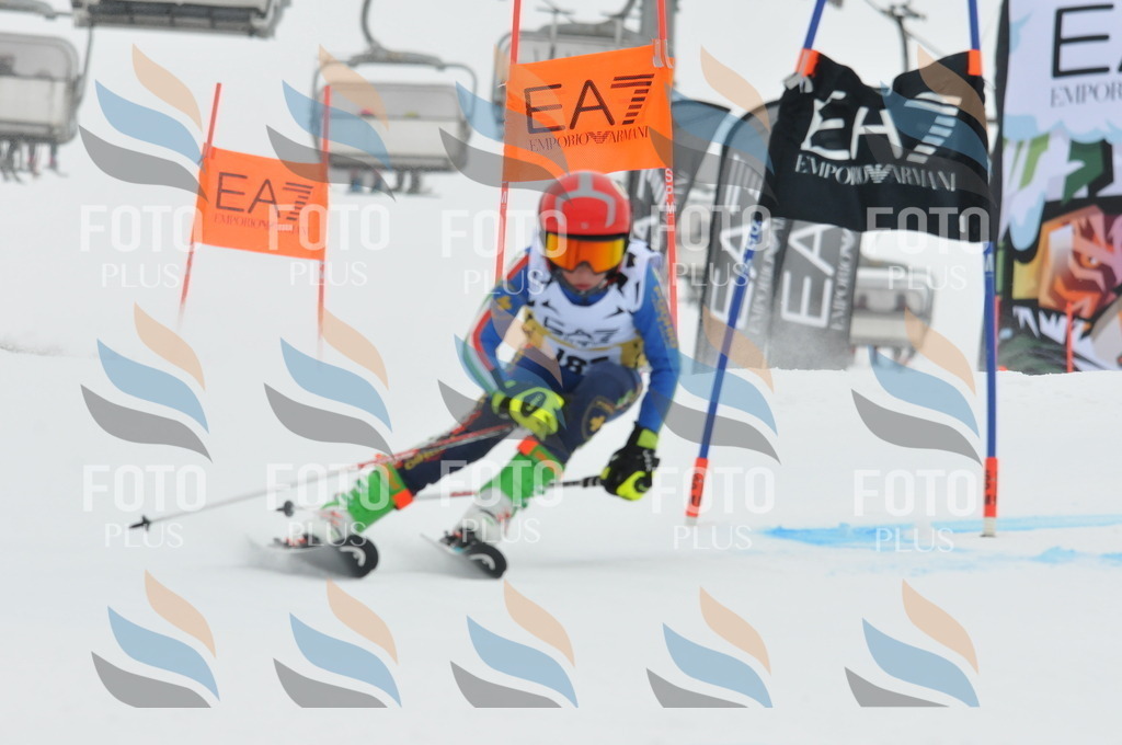 DSC_8675 | holidayphoto