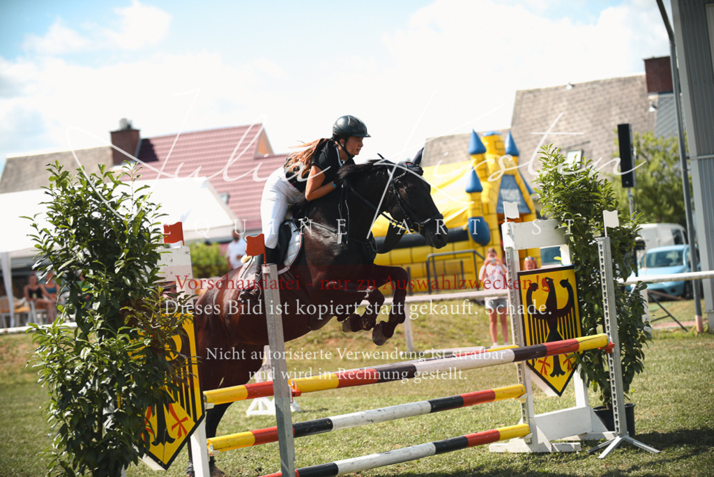 DSC_6679 | Pferde- und Turnierfotografie in Westsachsen. Pferdeportraits, Auftragszeichnungen und intuitive Kunst.
