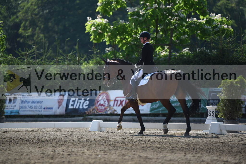 DSC_2079 | equestrian-live-com