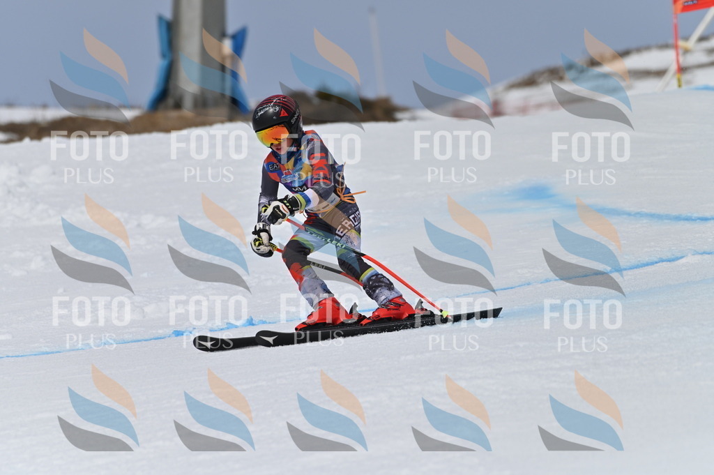 BGV_5263 | holidayphoto