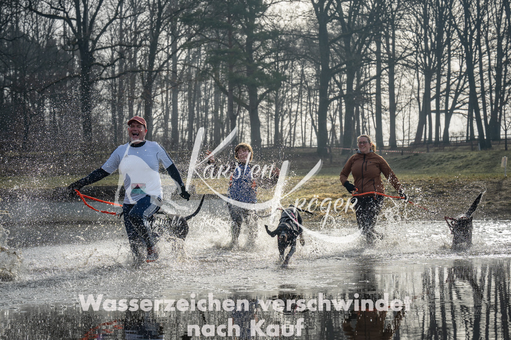 0933_ZZ92237 | kk-dogfotos
