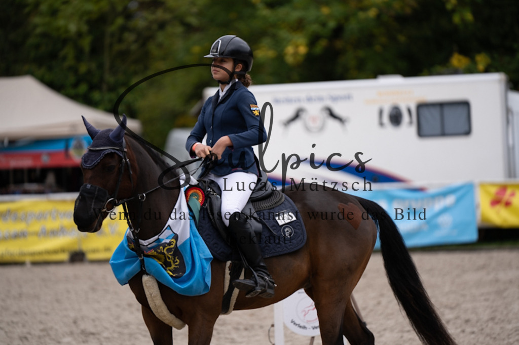 A7V09599 | Pferdefotograf