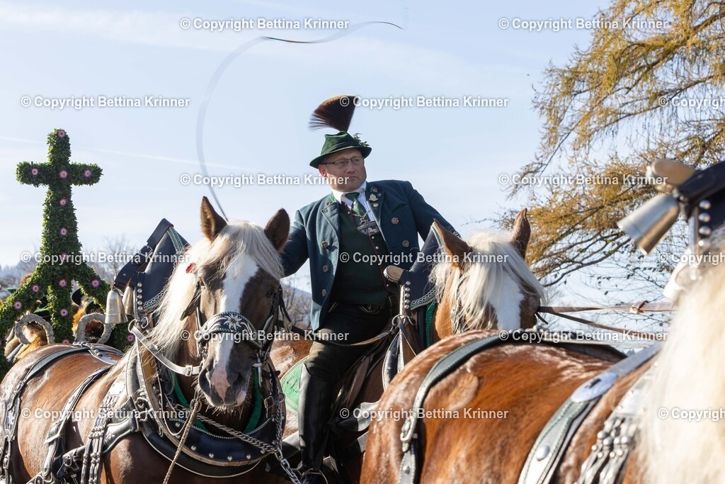 LBT24-1185 | foto-bettina-krinner - Realisiert mit Pictrs.com