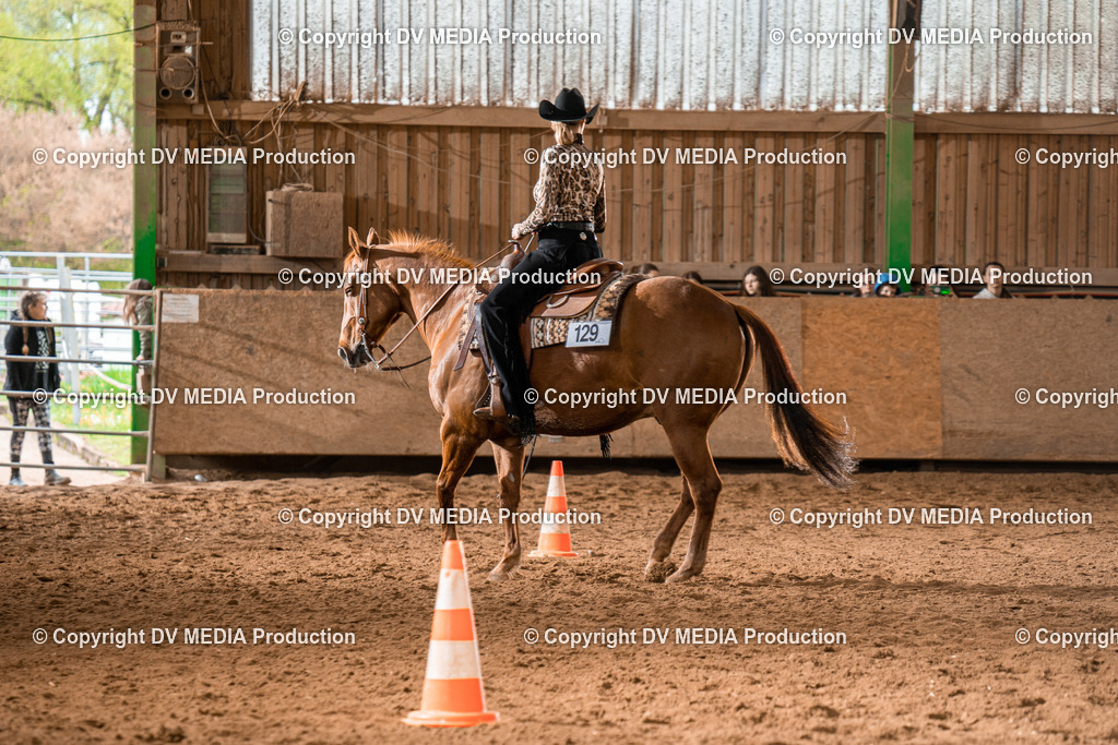 BAL01819 | dv-media-shop - Realisiert mit Pictrs.com