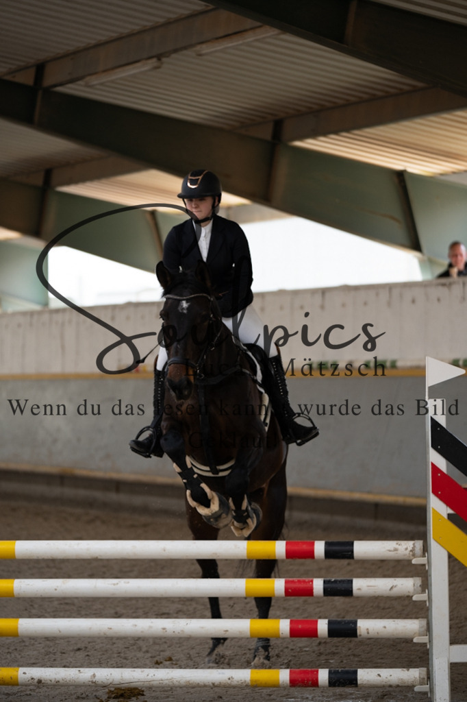 A7V08069 | Pferdefotograf