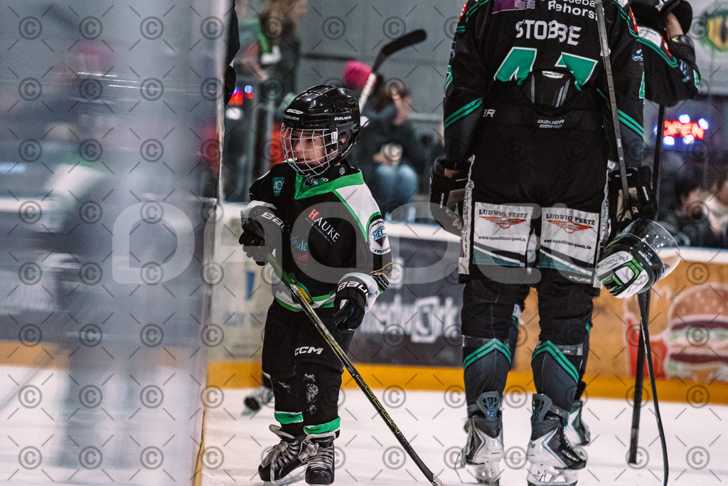 Alligators_vs_Erding_01_02_2026-35 | Höchstadt Alligators Fotogalerie: Eishockey-Action aus Franken. Professionelle Spielfotos, Portraits & Stadionbilder zum Download. Jetzt entdecken! - Realisiert mit Pictrs.com