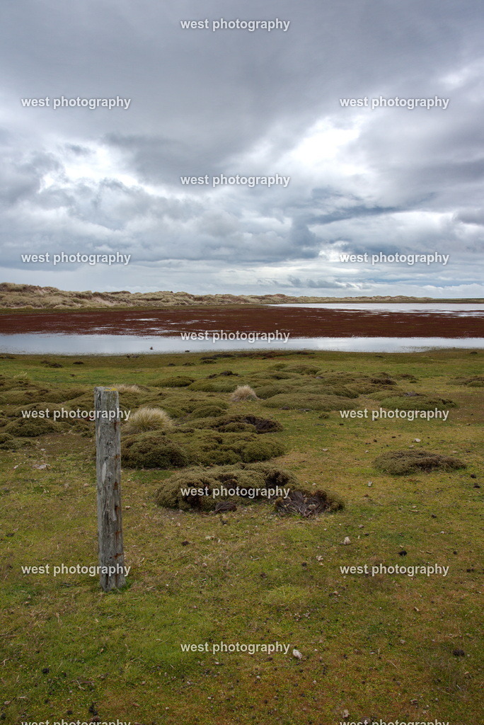 Pebble Island 2 PLB - FLK 2014 | west photography - Realisiert mit Pictrs.com