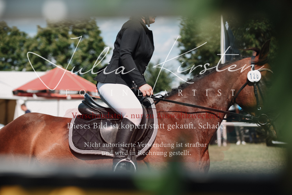 DSC_5765 | Pferde- und Turnierfotografie in Westsachsen. Pferdeportraits, Auftragszeichnungen und intuitive Kunst.