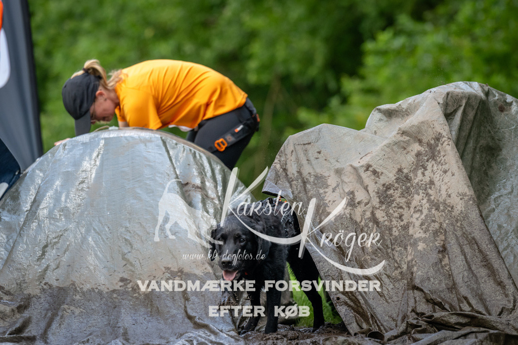 1252_ZZ93000 | kk-dogfotos