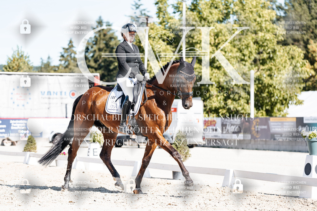 CK908310 | Turnierfotografie Pferdefotografie Trier Rheinland-Pfalz Pferdesport Reitsport Tierfotografie Sportfotografie Pferdevideo Pferdevideografie Equestrianvideography equestrianphotography  - Realisiert mit Pictrs.com