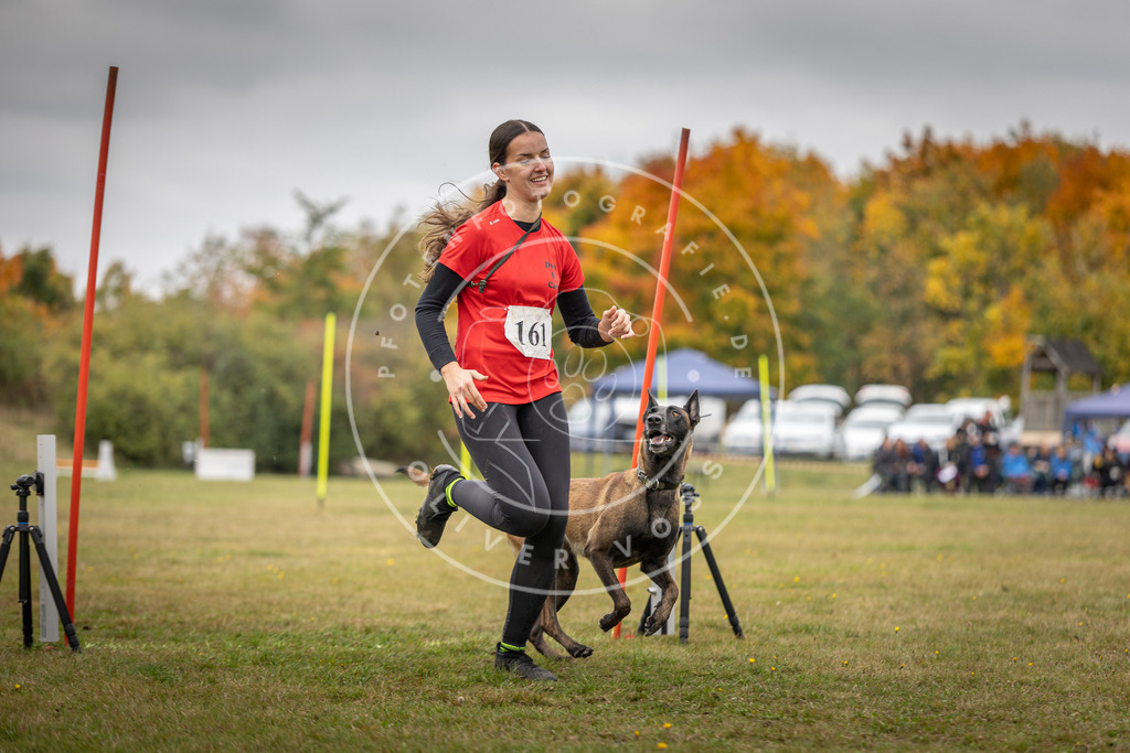 Pfotenfotografie_DV3A5222 | Hundefotografie, Tierfotograf, Pfotenfotografie, Fotoshooting Hund, Hunde Portrait, Hundesport, Hundeportraits, Heideshooting, Hunde, Sportfotograf, Hundefotograf, Turnierhundsport, THS,  - Realisiert mit Pictrs.com