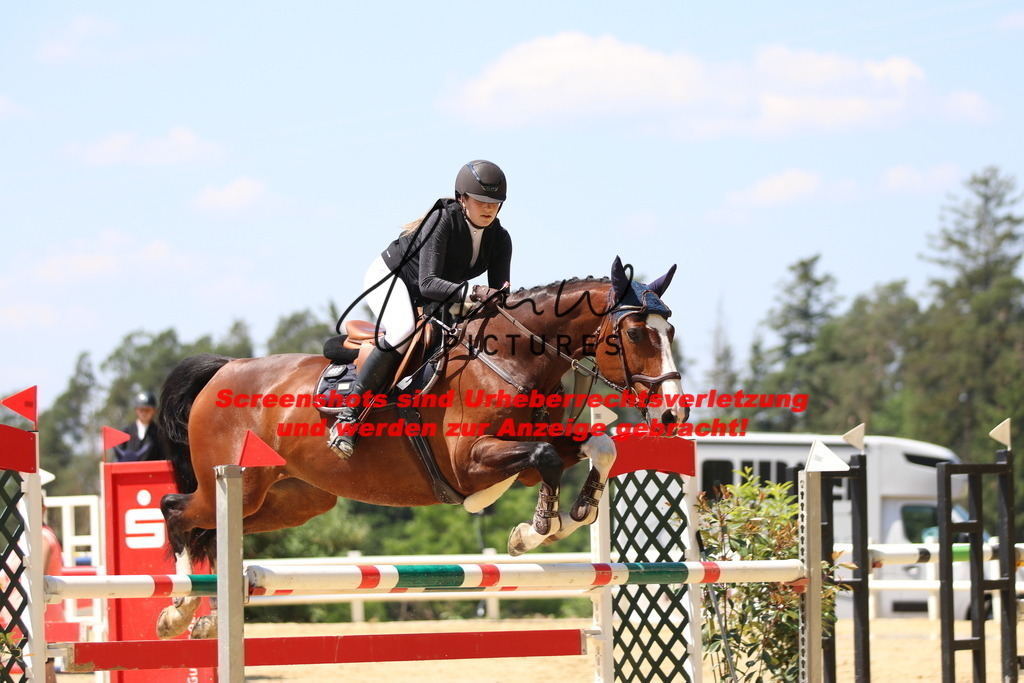 IMG_2381 | lmwpictures - Realisiert mit Pictrs.com