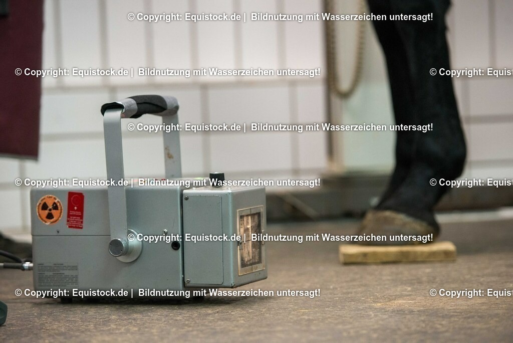 20170113_R__ntgen_0028 | Foto: Thomas Hartig