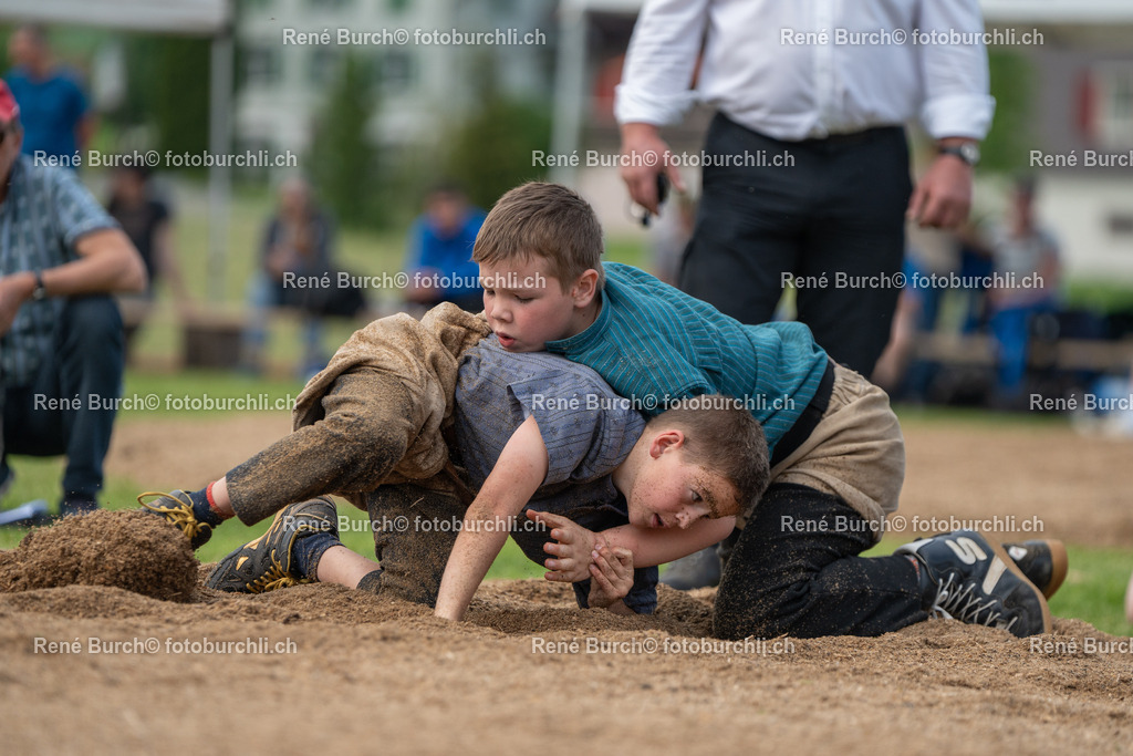 RB-07875 | René Burch leidenschaftlicher Fotograf aus Kerns in Obwalden.  Hier finden sie Sport, Landschaft und Natur Fotografie.
 - Realisiert mit Pictrs.com
