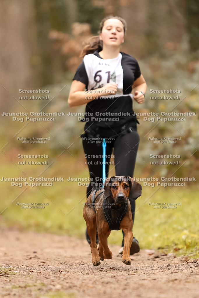 Dog Paparazzi - Speedhunter Mannheim  2025-179 | Dog Paparazzi Jeanette Grottendiek Fotografie & Videografie