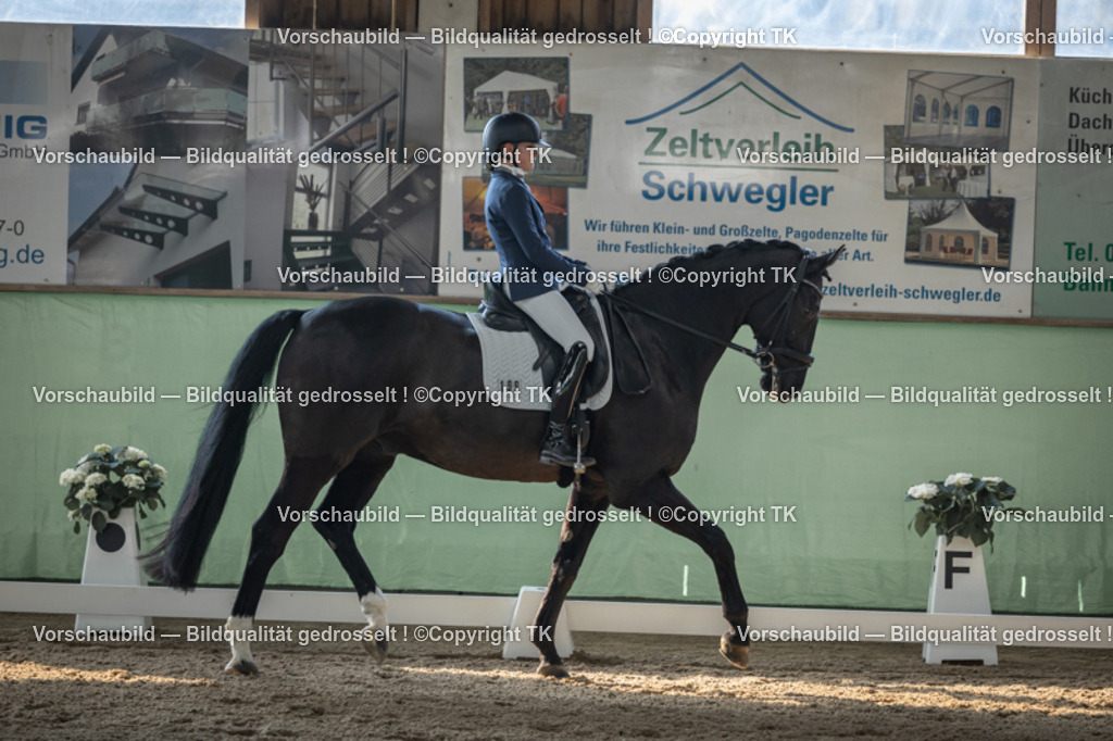 _D5A8231 | Emotionale Pferde- & People-Fotografie rund um Heidelberg, Leimen & Umgebung. Natürliche Fotos von Pferd, Mensch & Familie. Jetzt Termin sichern!