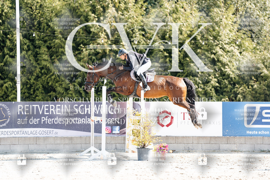 CK902657 | Turnierfotografie Pferdefotografie Trier Rheinland-Pfalz Pferdesport Reitsport Tierfotografie Sportfotografie Pferdevideo Pferdevideografie Equestrianvideography equestrianphotography  - Realisiert mit Pictrs.com