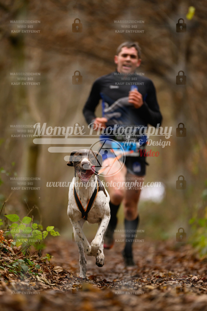 MompixPhotography_Eschau2024_CCC-2 | PayLife