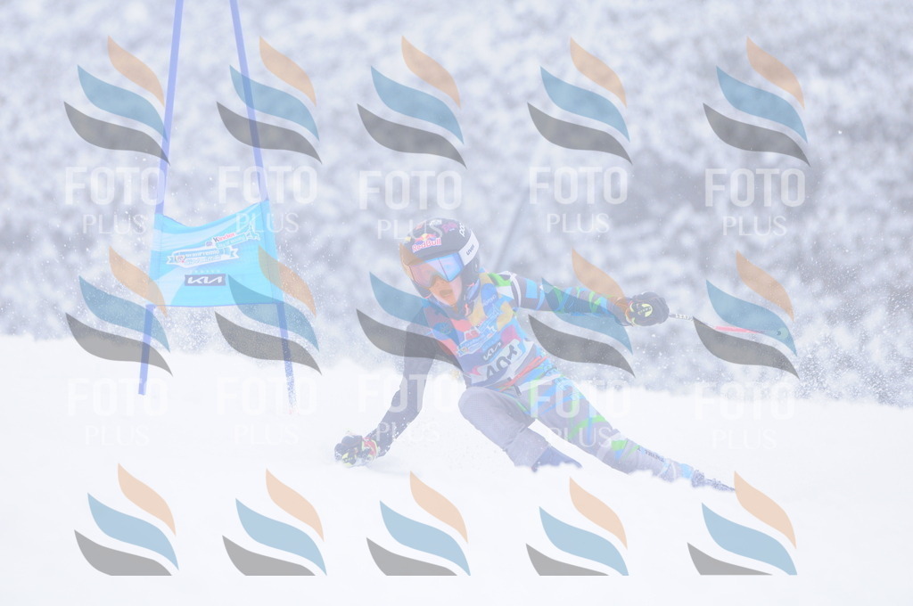 C4244 | holidayphoto