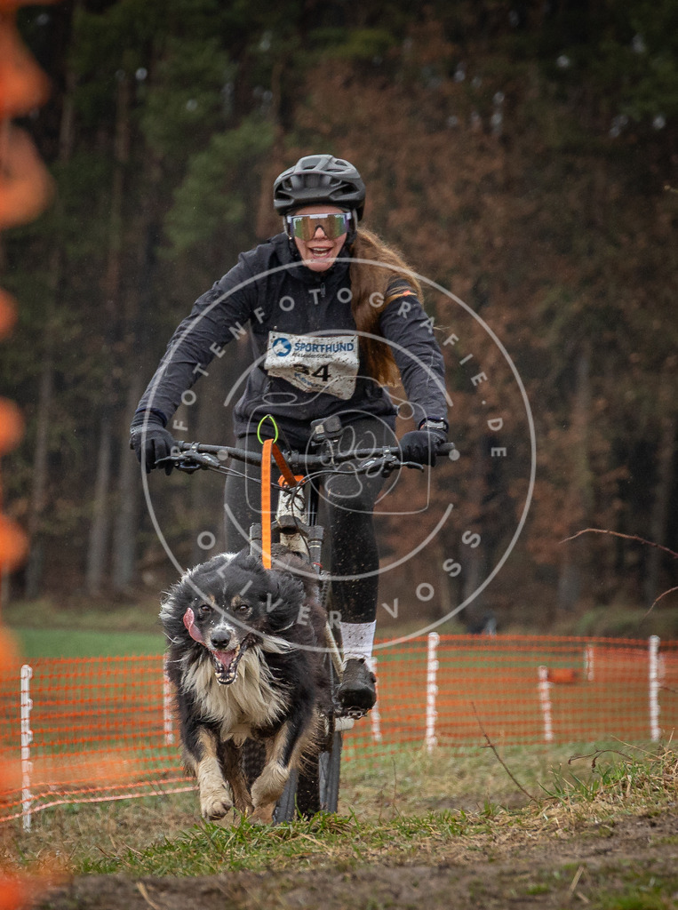 0L8A9006 | Hundefotografie, Tierfotograf, Pfotenfotografie, Fotoshooting Hund, Hunde Portrait, Hundesport, Hundeportraits, Heideshooting, Hunde, Sportfotograf, Hundefotograf, Turnierhundsport, THS,  - Realisiert mit Pictrs.com