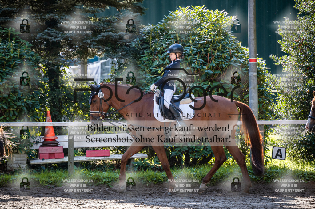 2026-10-Helle-20-4-0003 | Entdecke hochwertige Reitturnierfotos von Foto Oger. Professionell, emotional und authentisch – jetzt Lieblingsmomente im Shop bestellen.Deutschlandweite Turnierfotografie. - Realisiert mit Pictrs.com
