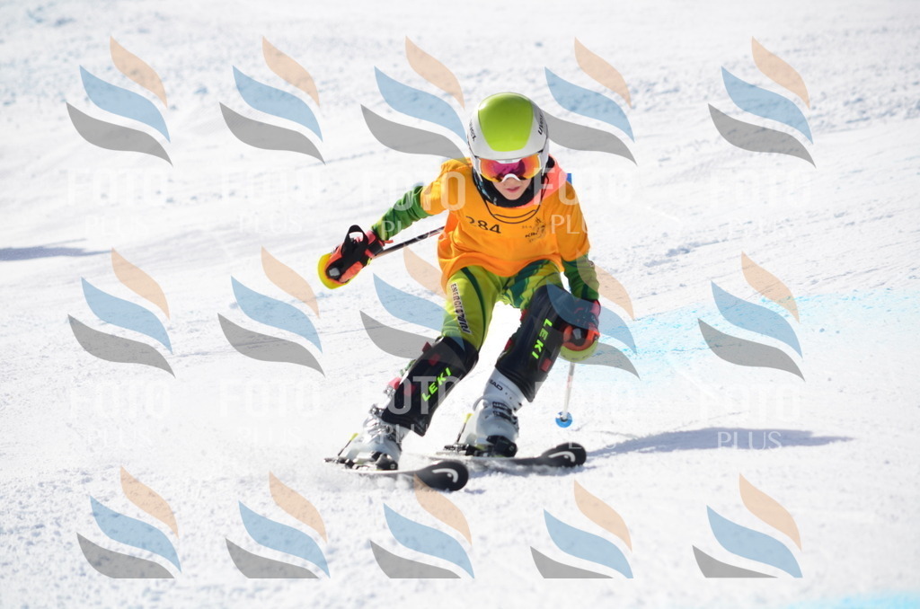 C8656 | holidayphoto