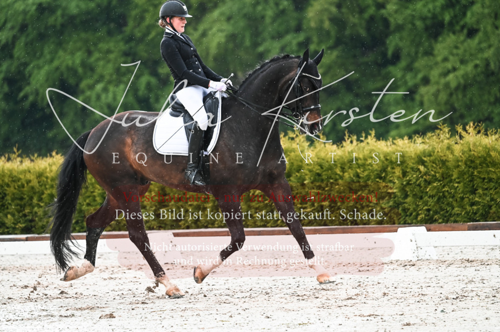 DSC_4346 | Pferde- und Turnierfotografie in Westsachsen. Pferdeportraits, Auftragszeichnungen und intuitive Kunst.