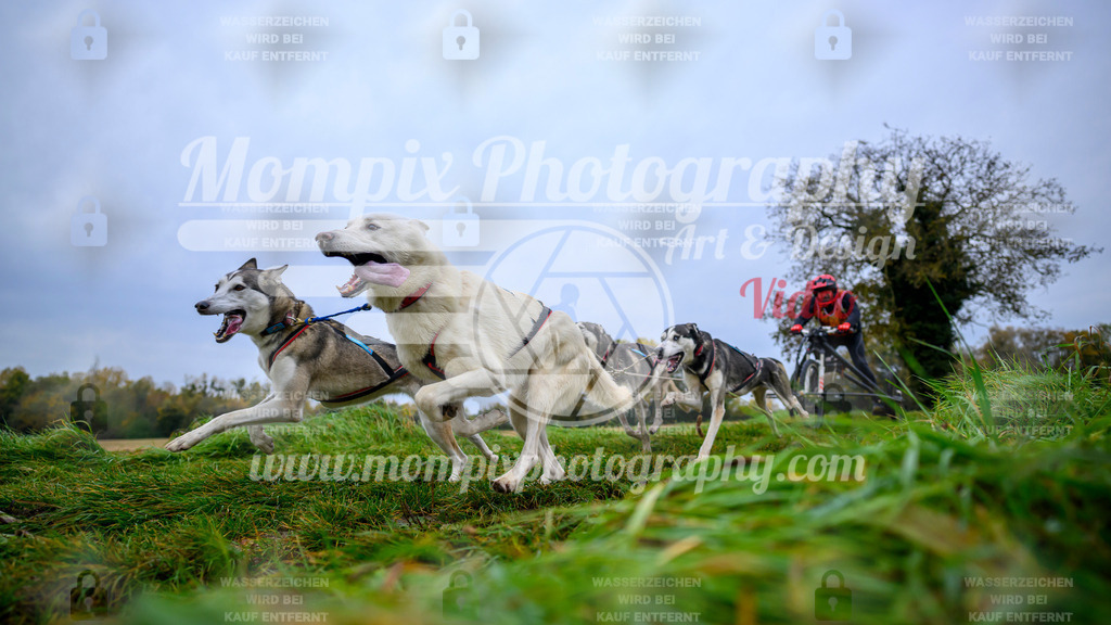 MompixPhotography_CDLBDB2025_DI_Kart-14 | PayLife