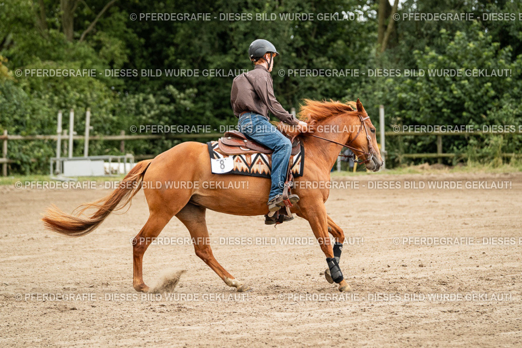 DSC04842 | Pferdegrafie