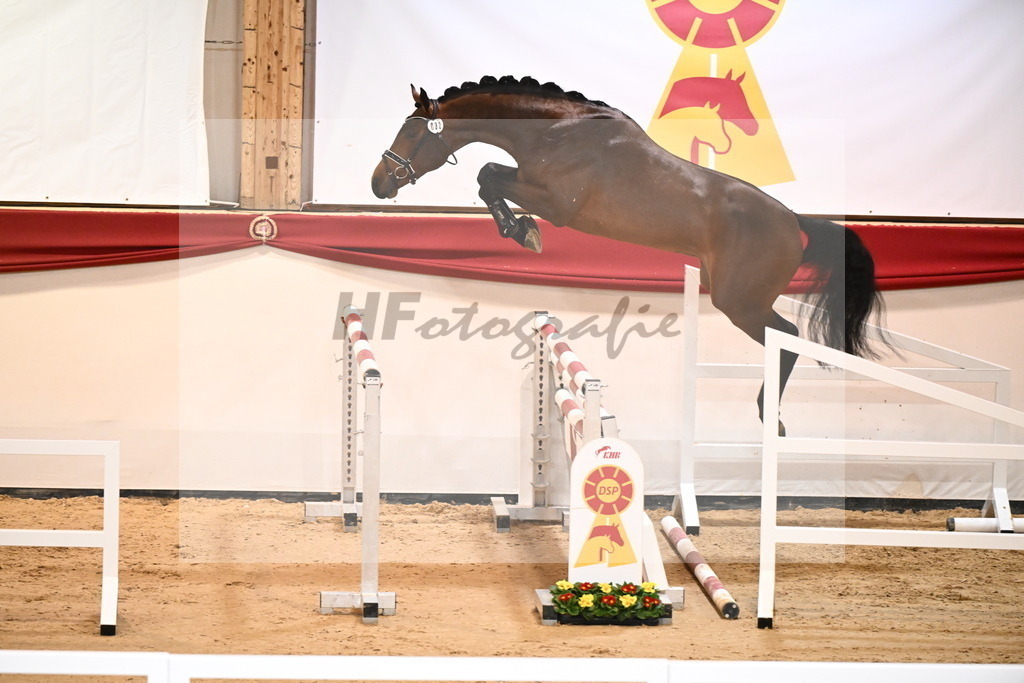 Kat.-Nr. 32 v. Verdi_Laue_2241444 | hf-fotografie - Realisiert mit Pictrs.com