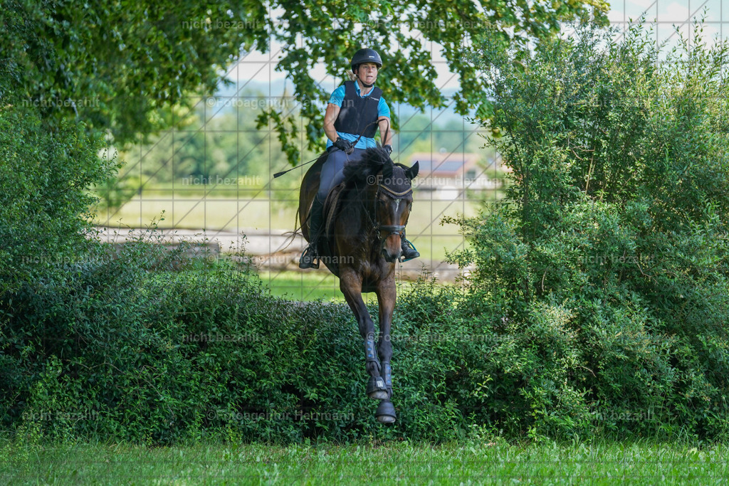 20240622-FAH07734 | Turnierfotografen Bayern, Reitsportbilder aus dem Geländekurs mit Felix Etzel auf dem Gut Waitzacker 2024