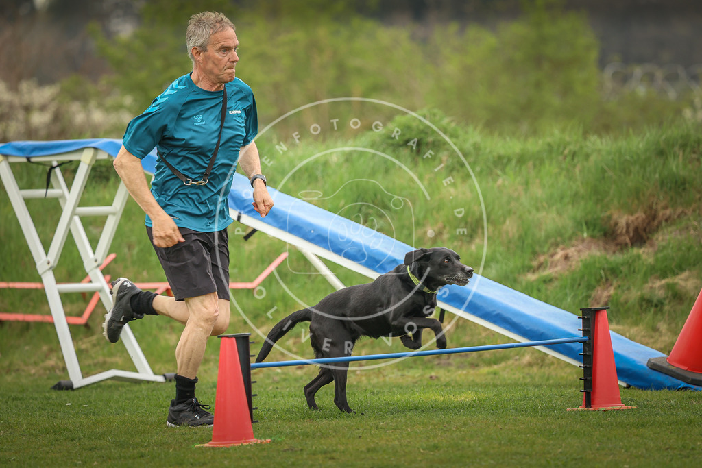 Pfotenfotografie_0L8A0606 | Hundefotografie, Tierfotograf, Pfotenfotografie, Fotoshooting Hund, Hunde Portrait, Hundesport, Hundeportraits, Heideshooting, Hunde, Sportfotograf, Hundefotograf, Turnierhundsport, THS,  - Realisiert mit Pictrs.com