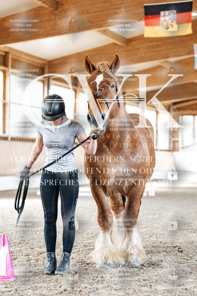 CK905419 | Turnierfotografie Pferdefotografie Trier Rheinland-Pfalz Pferdesport Reitsport Tierfotografie Sportfotografie Pferdevideo Pferdevideografie Equestrianvideography equestrianphotography  - Realisiert mit Pictrs.com