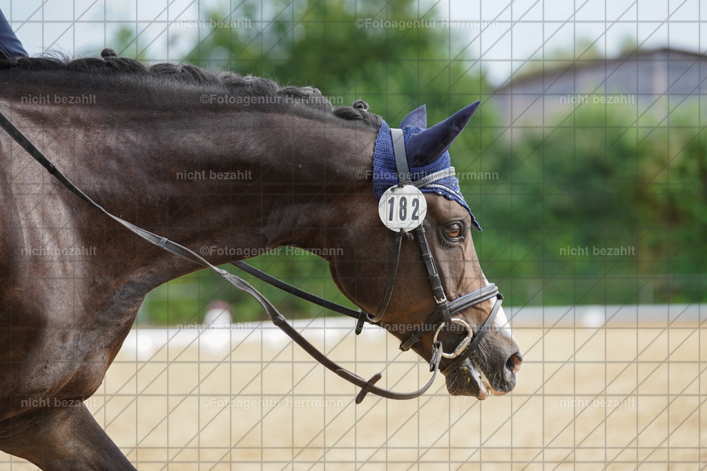 20240825-FAH00221 | Turnierbilder, Reitsportfotos, LAPO, Landesponyturnier, Turnierfotografen Bayern