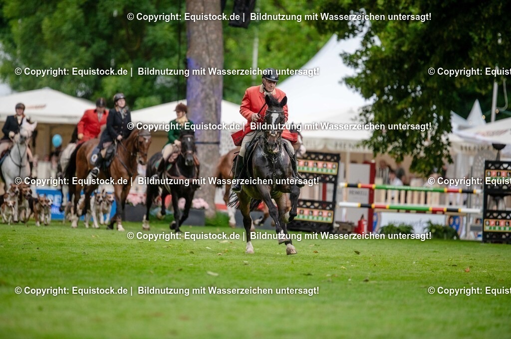 20250606_Lange-Pferdenacht_0487 | Foto: Thomas Hartig