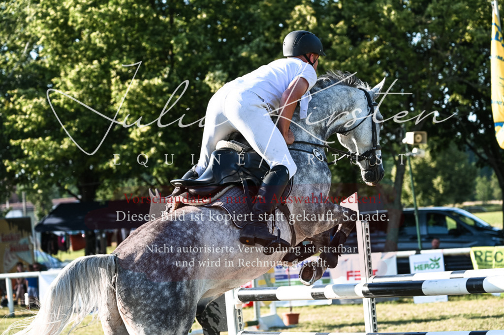 DSC_3049 | Pferde- und Turnierfotografie in Westsachsen. Pferdeportraits, Auftragszeichnungen und intuitive Kunst.