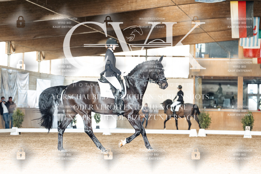 CK902519 | Turnierfotografie Pferdefotografie Trier Rheinland-Pfalz Pferdesport Reitsport Tierfotografie Sportfotografie Pferdevideo Pferdevideografie Equestrianvideography equestrianphotography  - Realisiert mit Pictrs.com
