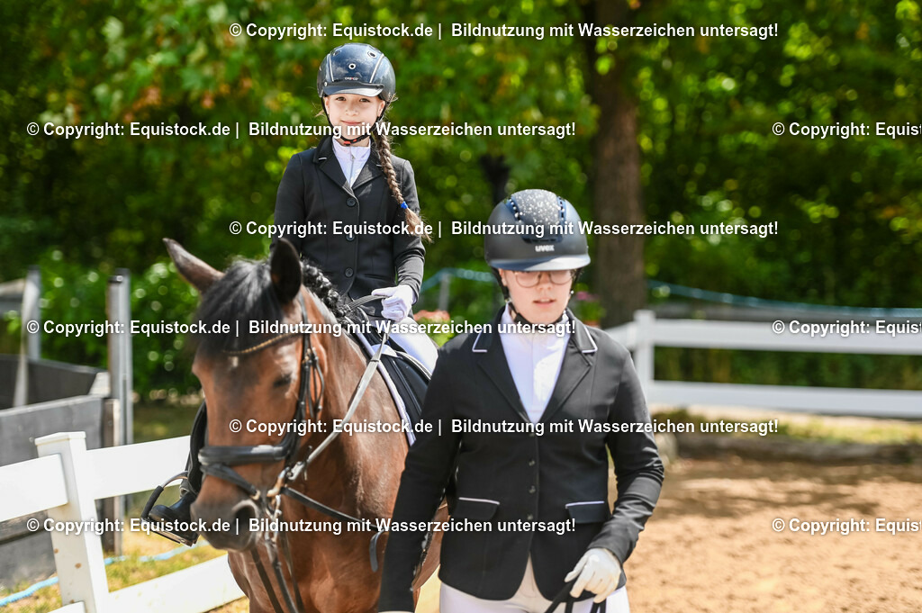 20230716_11_Führzügel-WB_0056 | equistock