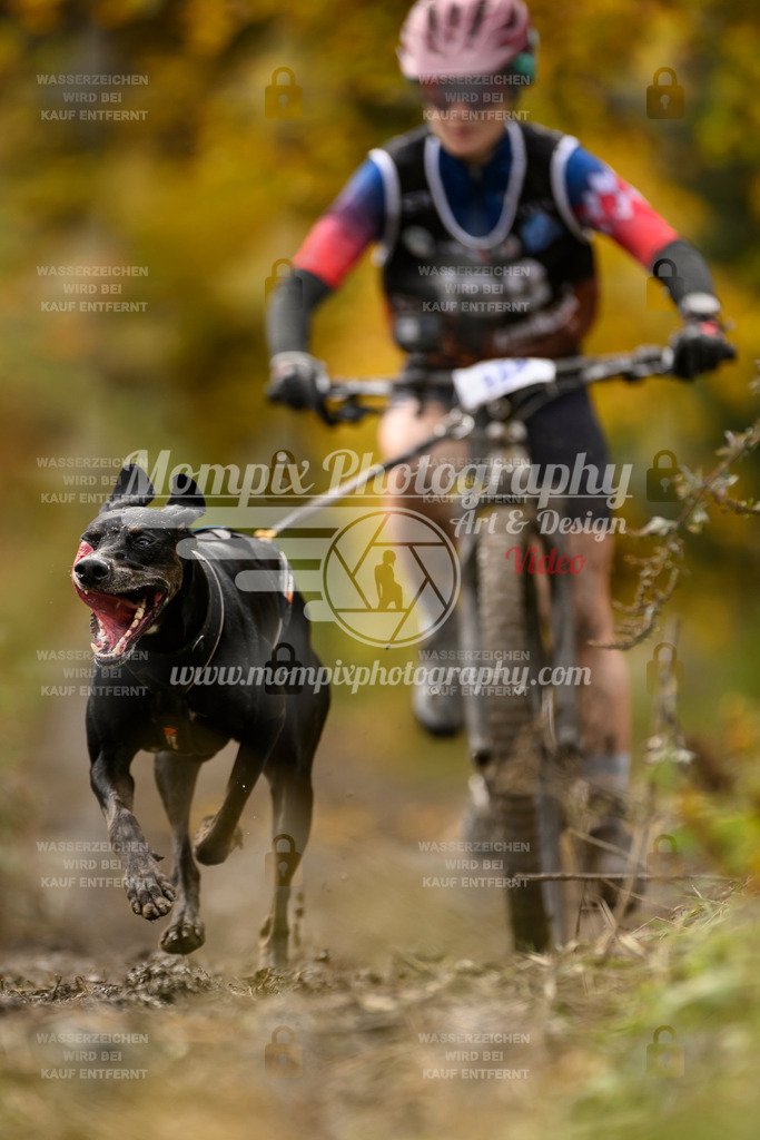 MompixPhotography_ICF_WC_2024_SA_Bike_-129 | PayLife