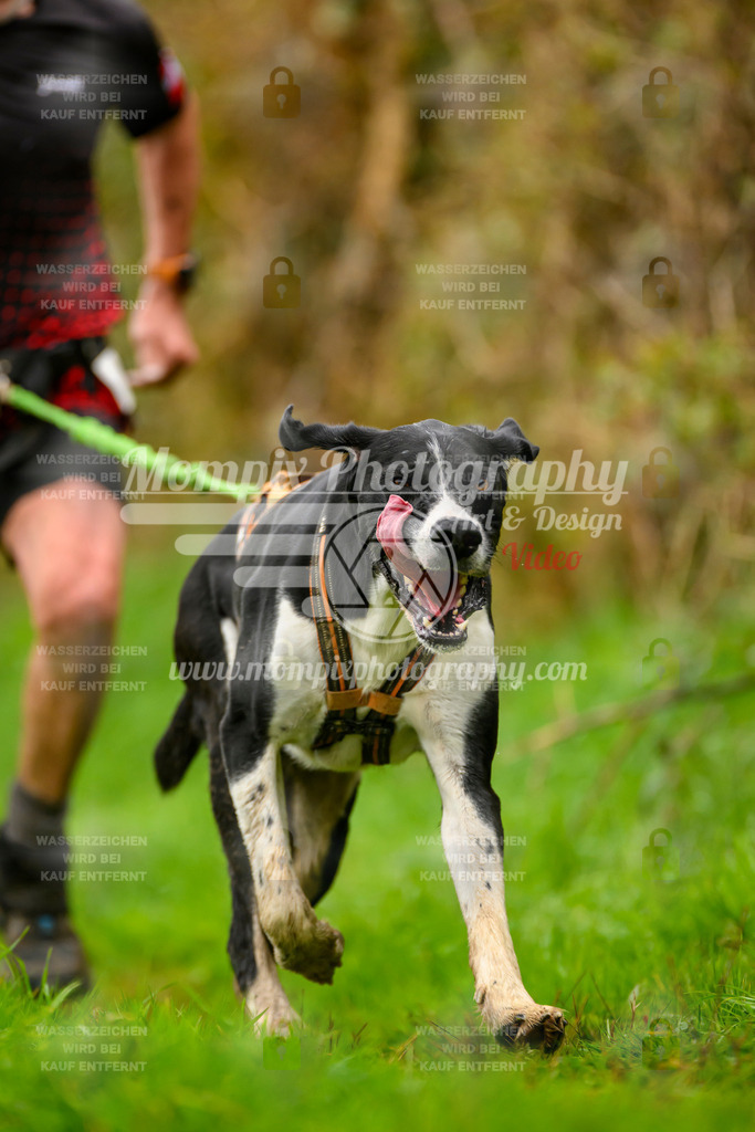 MompixPhotography_20TSB_E8_Run-70 | PayLife