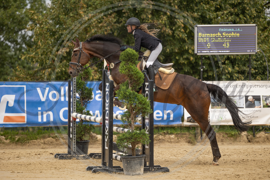 994A7792 | sabrinanicolaifotografie - Realisiert mit Pictrs.com