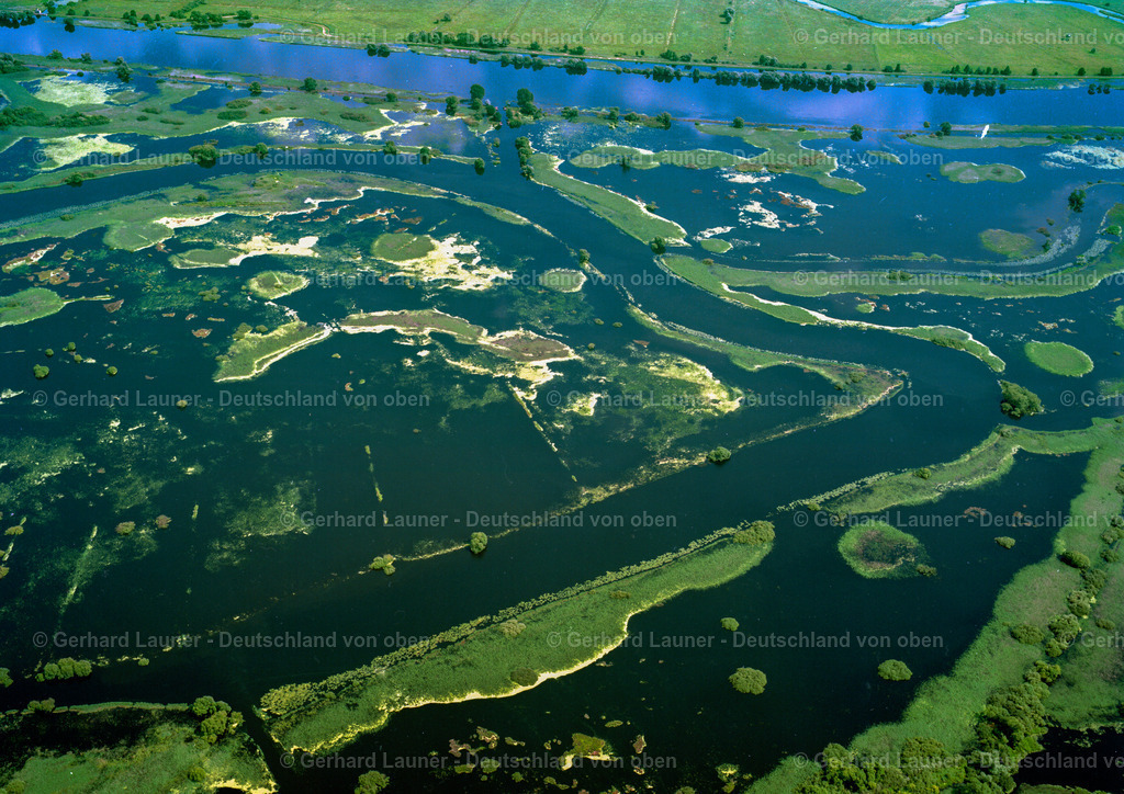 7000618 | Überschwemmung im Nationalpark Unteres Odertal bei Gartz