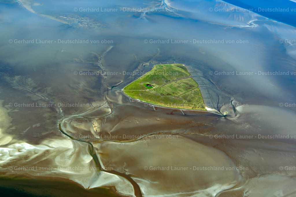 3801573 | Hallig Süderoog, Nationalpark Schleswig-Holsteinisches Wattenmeer