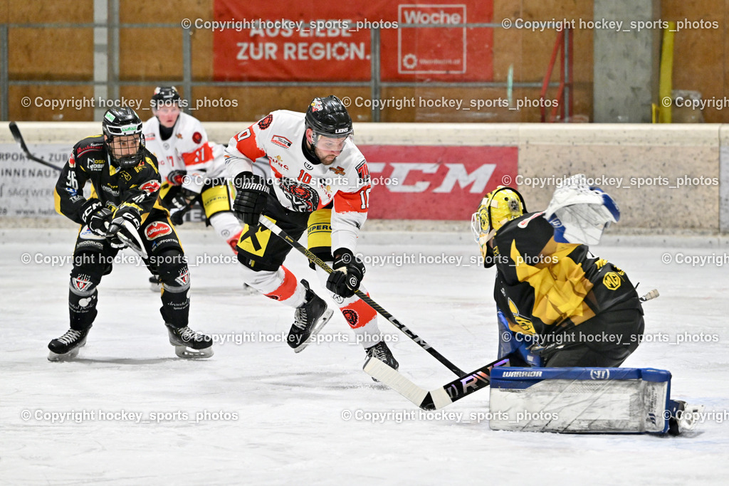 EC MET PHOTOVOLTAIK HORNETS SPITTAL vs. EV ZELTWEG MURTAL LIONS | #35 Egger Luca EC Hornets Spittal, #10 Sulzer Mario EV ZELTWEG MURTAL LIONS, #96 Peharz Joshua EC Hornets Spittal, EC MET PHOTOVOLTAIK HORNETS SPITTAL vs. EV ZELTWEG MURTAL LIONS, EC MET PHOTOVOLTAIK HORNETS SPITTAL vs. EV ZELTWEG MURTAL LIONS am 08.02.2026 in Spittal an der Drau (Eissportzentrum Spittal), Austria, (Photo by Bernd Stefan)