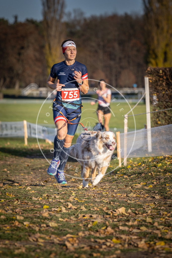 CaniXpix_DV3A2540 | Hundefotografie, Tierfotograf, Pfotenfotografie, Fotoshooting Hund, Hunde Portrait, Hundesport, Hundeportraits, Heideshooting, Hunde, Sportfotograf, Hundefotograf, Turnierhundsport, THS,  - Realisiert mit Pictrs.com