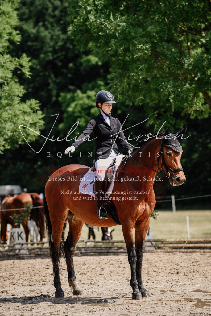 DSC_1029 | Pferde- und Turnierfotografie in Westsachsen. Pferdeportraits, Auftragszeichnungen und intuitive Kunst.