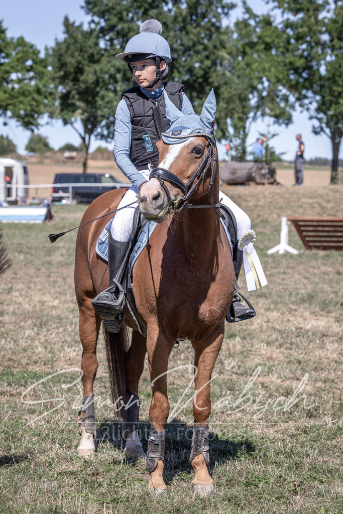 20260906-_3LI4487 | Tierfotografie Pferde, Hunde, Katzen, Haustiere.
Turnierfotografie Reitturniere, Reiten, Springreiten, Dressur in Hanau, dem Main-Kinzig-Kreis und dem Rhein-Main- Gebiet um Frankfurt